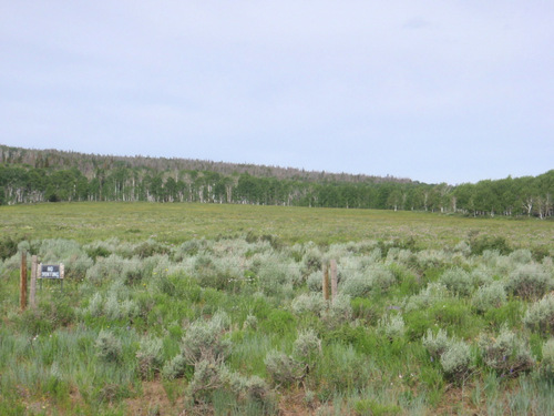 Leaving the Alpine for High Chaparral .